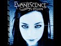 Evanescence - My Last Breath.wmv