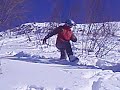 Valou Alpes D'huez cascade a travers un sapin