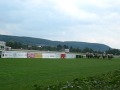 Horse races in Velka Chuchle in Prague, Czech ...
