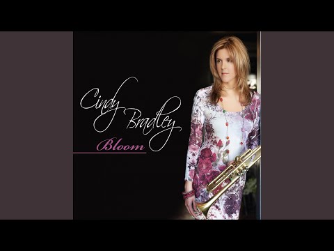 Cindy Bradley – Curves Ahead