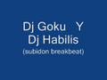 DJ goku and dj habilis