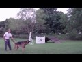 Eikou de Ramdu - Protection Training 5