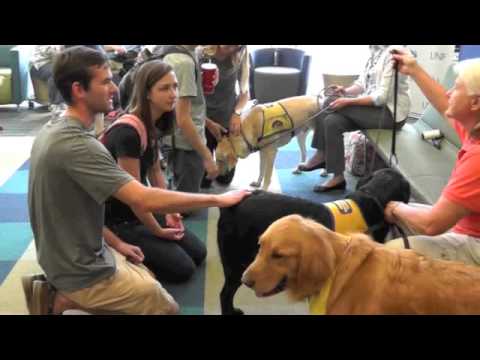 how to relieve dog stress