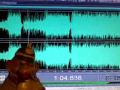Monkey Stein Video.wmv