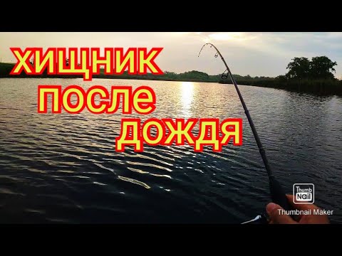 клюет ли щука в июле