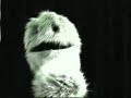 Zeppo & Friends - Will It Go \