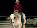 Ryda Bull