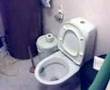 Toaletterror p� Stokmarknes