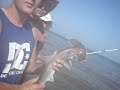 We caught a baby hammer head shark out off the coast of Surfside, TX. We also caught a baby black tip shark just an hour before that.