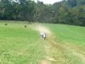 Honda CRF70F vs Honda XR100