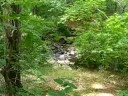 bill burns and claude ledoux plan to dredge the head dam pond and nearby trout pond to improve the health of the westport river's east branch