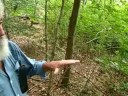 bill burns and claude ledoux plan to dredge the head dam pond and nearby trout pond to improve the health of the westport river's east branch