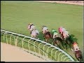 John Henry - San Luis Rey Stakes 1980 John Henry - San Luis Rey Stakes 1980