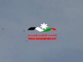 شاهد الفيديو