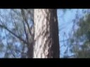 Discovery - Cash Cab, Dirty Jobs, Bargin Hunter Part 2 of 3