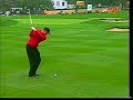 Tiger Woods Mix