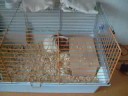 T�fi Tengerimalac h�zat d�nt :-)