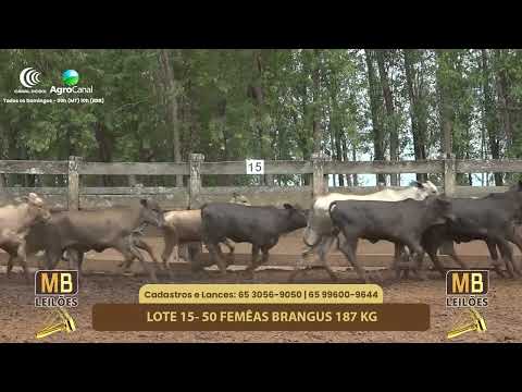 528� LEIL�O VIRTUAL MB LEIL�ES