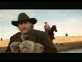 Cat Herders Cat Herders