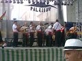 pasacalles con la actuacion de la panda de verdiales primera de comares en la feria de totalan 2008