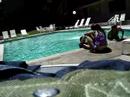 Swimming Swimming