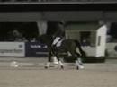 clinic Imke Schellekens-Bartels en Joost Peters deel 1