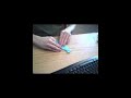 Origami Parrot