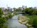 ���Ȥ����� ���վ�����1977(�᥸�㡼�ǥӥ塼���Υ饤�ֶ�):YouTube������=502��
