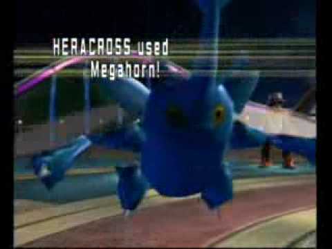 Heracross