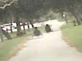 THE PARK (PART 4) *THE RACE*