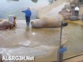 ������ �� ����