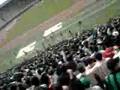 KocaeliSpor-Taraftarlar