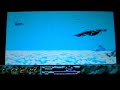 PSPUAE 0.70 CARCHARODON - WHITE SHARKS