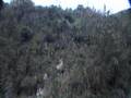 Peru - climbing to Macchu Picchu