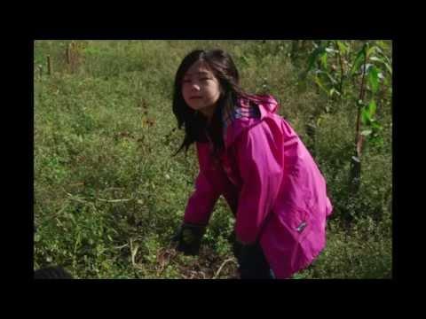 See video