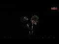 Feuerwerk Berlin Pyro - Partner GmbH Hoffest 2008 [Feuerwerk, Fireworks]