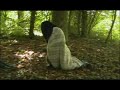 le coulou-coulou