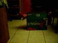 videos de Océane