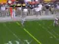 The Ohio State Buckeyes