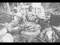 Bushmeat