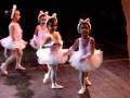 videos de MOV02235.mpg