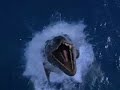 Sea Monsters 3D: A Prehistoric Adventure