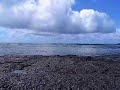 Wai'opae Tidepools - Big Island of Hawai'i