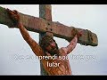 O seu amor ( Rafaela Pinho )