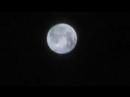 Full Moon in Motion