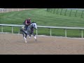 Macho Again's First Gallop Since Preakness 3 Macho Again's First Gallop Since Preakness 3