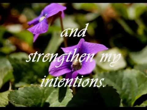 how to fertilize abutilon