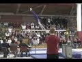 Tim McNeill - parallel bars - Cal at Stanford 2007 Tim McNeill - parallel bars - Cal at Stanford 2007