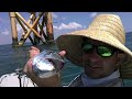 VISIT HOOK1 kayakfishinggear.com (USE CODE 30MILESOUT for 10% off NEW PURCHASE!) today on 30milesOUT - ty southerland heads offshore in the kayaks to the oil rig just off bob hall pier in corpus christy tx. james bondoc goes along with ty to tear up the spanish mackerel, spade fish and a nice hammer head shark! check it out!