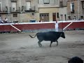 Koadrilen bazkaria - Comida de cuadrillas I